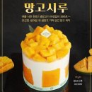 대전 전시회 갈만한곳 데이트 롯데백화점 지하1층 푸드코트, 성심당 망고시루, 폴바셋
