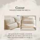 밀로티 | 예비신혼부부 만장일치로 산 소파 내돈내산 후기 [밀로티 아이파크몰 용산점] 쿠보 에디션 (feat...