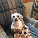 해미농장 이미지