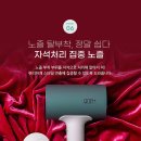 T=헤어 - 해남군 | T=헤어