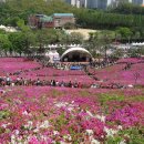 2019.4.29.(월) 수리산 철쭉축제, 초막골생태공원 달빛걷기 즐겨요. 이미지