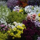 서울로터스치과의원 이미지