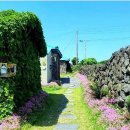 애월에서 이미지