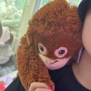 Queen뽑기 이미지