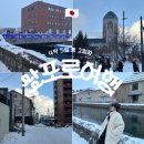 41190-01-07-047 | 일본 삿포로 4박 5일 2일차 일정, 연말에 다녀온 오타루 여행