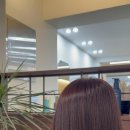 춘천미용실 이미지