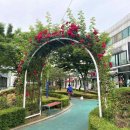 장미 공중화장실 이미지