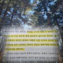 니체의 초월자 책 | 프리드리히 니체 책 후기 | 연명치료라는 잔인한 고문을 다시 생각하다 추천 리뷰...
