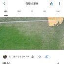 테니스토리 이미지