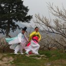 죽화로 Daum카페