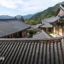 삼정 야영장 이미지