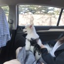 은모래민박 이미지