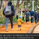 지구와 접신한 사람들 “맨발로 걸으면 만병이 낫는다” 이미지