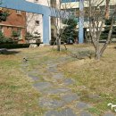 마성초등학교(병설) 이미지