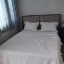 위미가 연 이미지