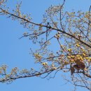 신해철 거리 이미지