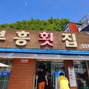 동해문어 이미지