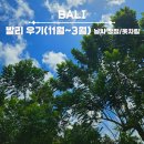 우기 | 발리 12월 우기 여행 후기｜날씨·옷차림 솔직 정리 (사람 적은 시즌)