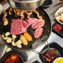 민물박사 이미지