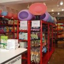 웰동물메디컬센터 이미지