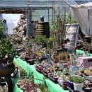 꽃새미마을(방동마을) 이미지