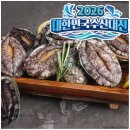 완도친환경수산물협동조합 | 완도 활전복 선물세트로 느낀 진짜 솔직 후기와 기대 이상 만족감