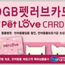 펫러브 - 8968 | 펫러브