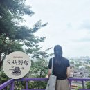 협동조합 문화놀이터 틈 | 19,900원으로 경기투어패스 1일 여행권! 수원화성·수원시립미술관·무료체험까지