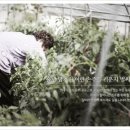 세진목욕탕 이미지