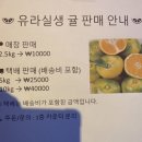 레이저아레나엑스 제주점