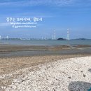 머드포레스트