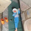 고성 다이노 캠핑장 | 고성 다이노 캠핑장 캠핑 후기(23/2/10~12)