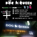 우신펫샵 | ( 대전분양후기 )오렌지포메라니안분양 대전애견샵 도그퀸