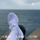 다이어트 일기 • Week10 •다이어트 식단 • 일상 기록 제주도 여행을 가다