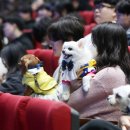 멍멍대학 이미지