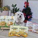 개들의대모 수제간식 | 강아지 저칼로리 간식, 다이어트에 딱인 듀먼 반려견 수제간식
