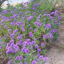 나그네집 이미지