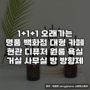 향기담기 | 거실욕실대용량디퓨저 추천, 오래가는 명품 향기 담기