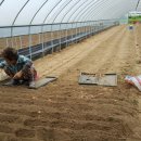 할미올농장 이미지