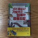 장순류