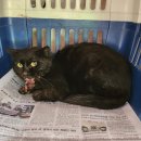 세븐일레븐 예산공주대점 이미지