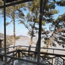 위드오션2 이미지