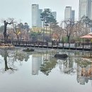 반포천 이미지