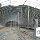 정일용농장 이미지