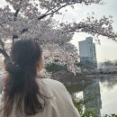 벌써 4월이 지나간다 가지마