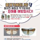 나방 연합뉴스