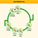 만쥬킹 이미지