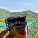 용인 미르힐 네이버블로그