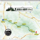 대종