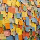 레알라면 이미지